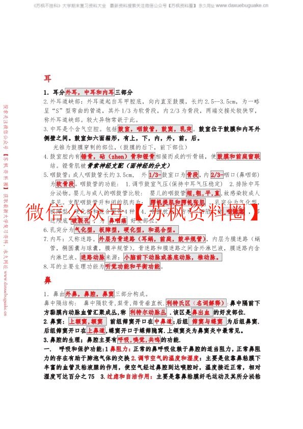 中医耳鼻喉